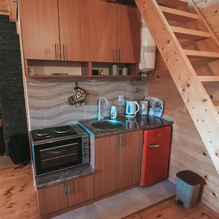 Domacinstvo Braca Rebic