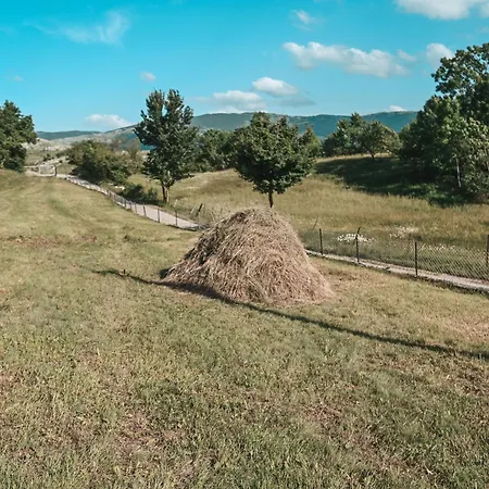 Domacinstvo Braca Rebic Holiday home Gacko