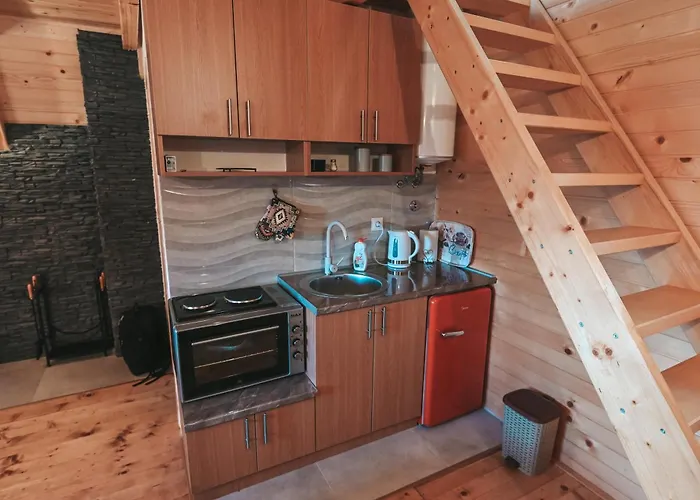 Domacinstvo Braca Rebic