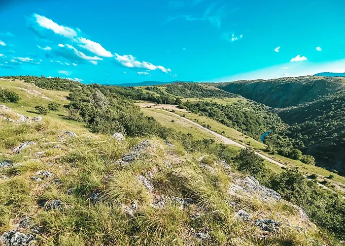 Domacinstvo Braca Rebic * Gacko