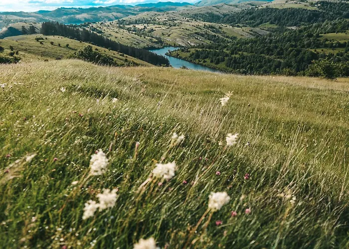 Holiday home Domacinstvo Braca Rebic *